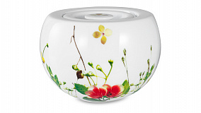 Чайный сервиз на 6 персон Rosenthal "Дикие цветы", 21 предмет
